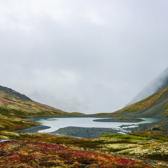 Hey from Across the Bay! ๐ - Picture 3 of 9